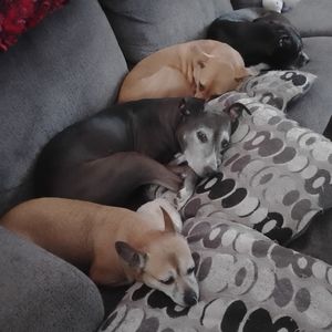 Meet your Posher, Creflow